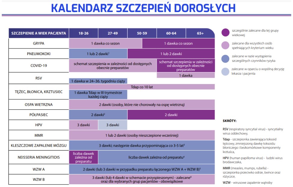 Kalendarz szczepień dla dorosłych