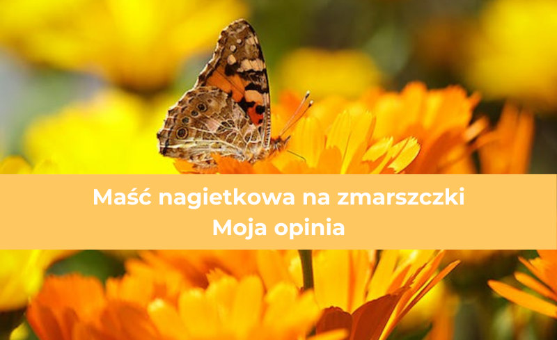 Maść nagietkowa na zmarszczki – czy działa? Moja opinia!